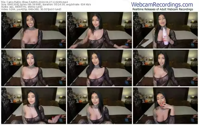 cams-aaris-04-27-2024-11-02-49