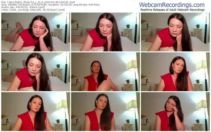 cams-a_l_m_a-04-28-2024-19-42-31