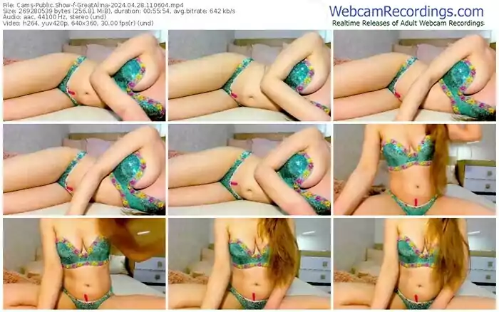 cams-greatalina-04-28-2024-11-06-04