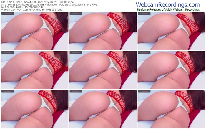 cams-ttiffany-04-28-2024-17-03-09