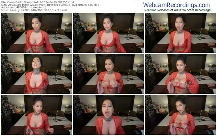 cams-aaris-04-29-2024-08-22-55