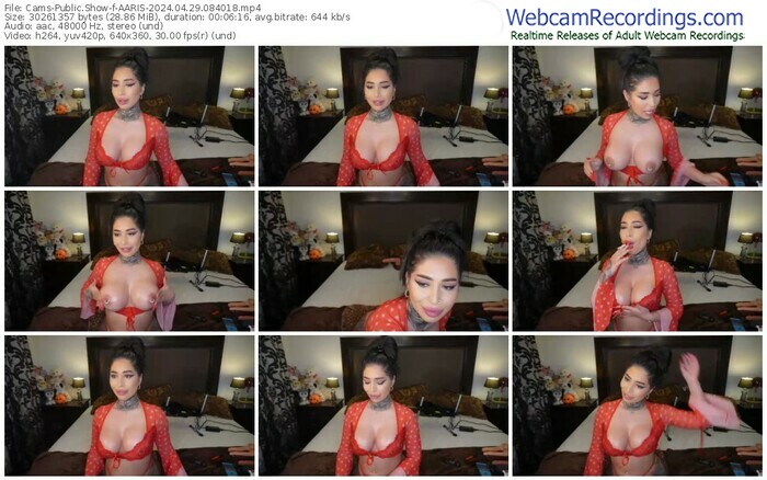 cams-aaris-04-29-2024-08-40-18