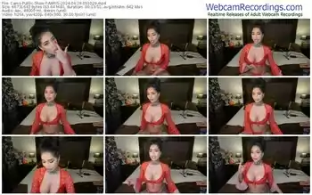 cams-aaris-04-29-2024-09-10-29