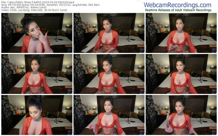 cams-aaris-04-29-2024-09-10-29