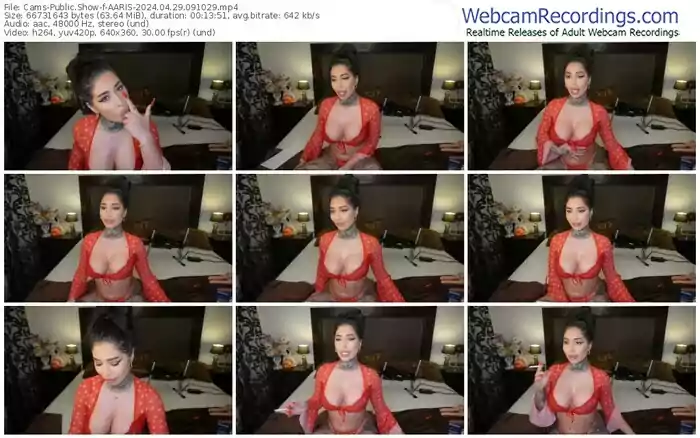 cams-aaris-04-29-2024-09-10-29