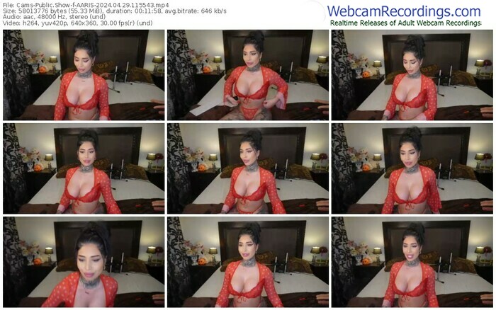 cams-aaris-04-29-2024-11-55-43