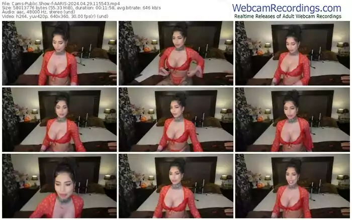 cams-aaris-04-29-2024-11-55-43