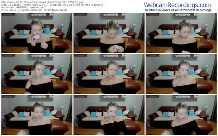 cams-barbarahigh-04-29-2024-12-25-23