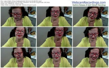 cams-adeleemodel-04-30-2024-08-18-32