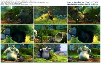 cams-ff_mur-05-07-2024-10-46-11