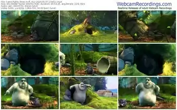 cams-ff_mur-05-07-2024-10-46-11