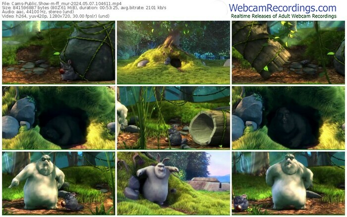 cams-ff_mur-05-07-2024-10-46-11