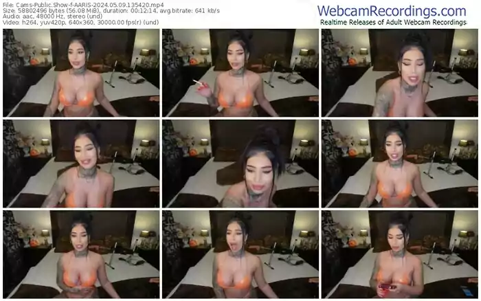 cams-aaris-05-09-2024-13-54-20