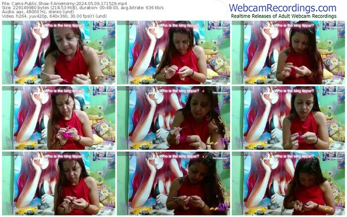 cams-aniehorny-05-09-2024-17-15-29