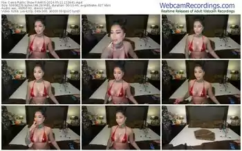 cams-aaris-05-11-2024-11-09-41