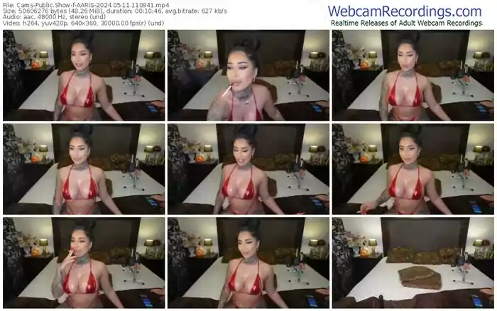 cams-aaris-05-11-2024-11-09-41