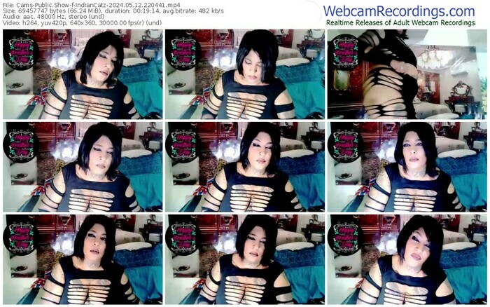 cams-indiancatz-05-12-2024-22-04-41