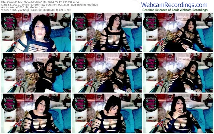 cams-indiancatz-05-12-2024-23-03-34