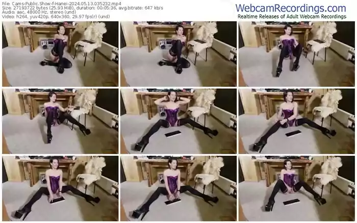 cams-hanei-05-13-2024-03-52-32