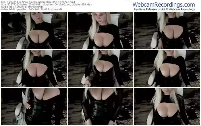 cams-evarelusion-05-13-2024-02-07-46