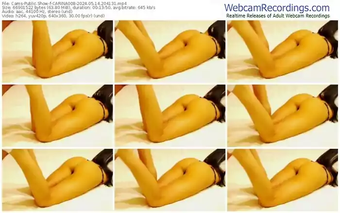 cams-carina008-05-14-2024-20-41-31