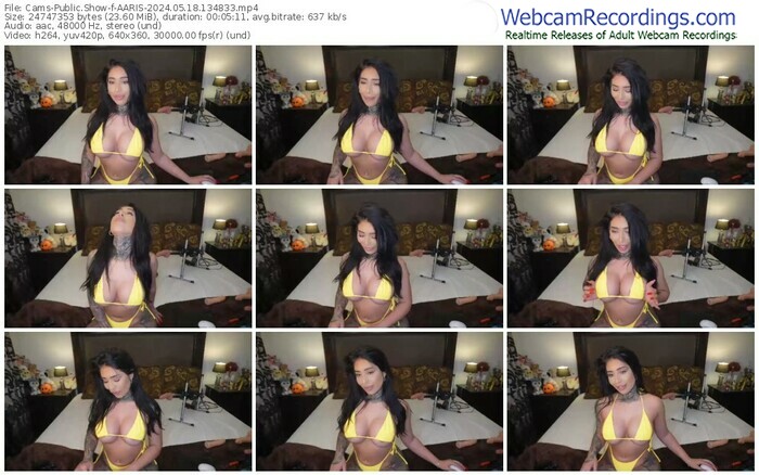 cams-aaris-05-18-2024-13-48-33