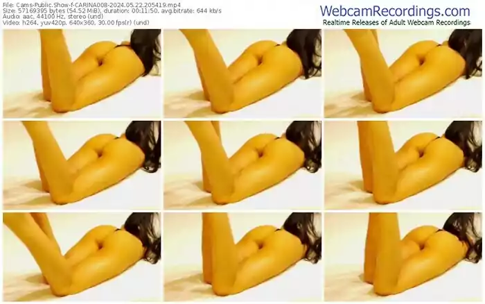 cams-carina008-05-22-2024-20-54-19