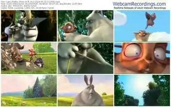 cams-ff_mur-05-22-2024-11-24-05