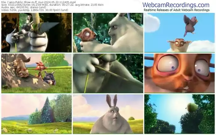 cams-ff_mur-05-22-2024-11-24-05