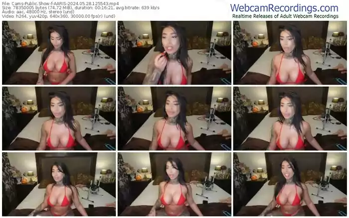 cams-aaris-05-28-2024-12-55-43