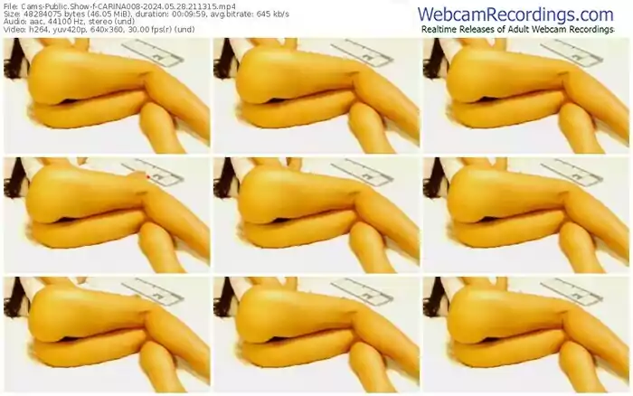 cams-carina008-05-28-2024-21-13-15