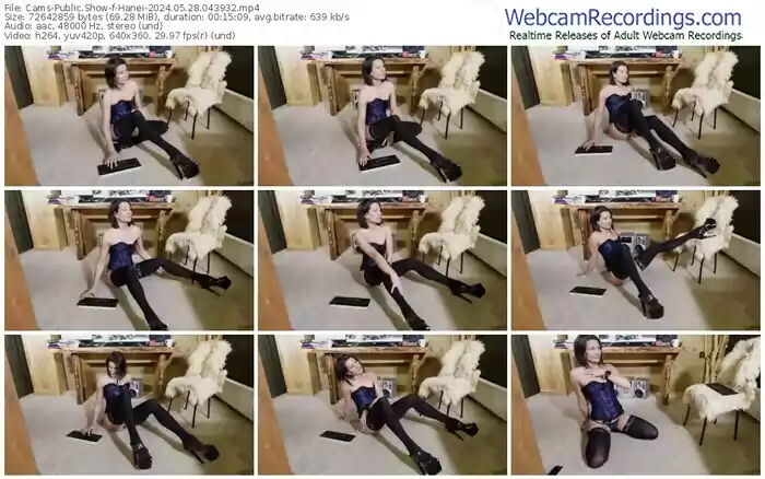 cams-hanei-05-28-2024-04-39-32