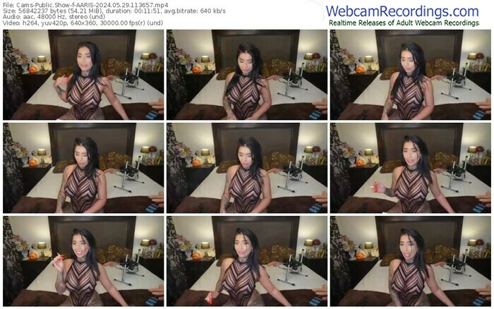 cams-aaris-05-29-2024-11-36-57