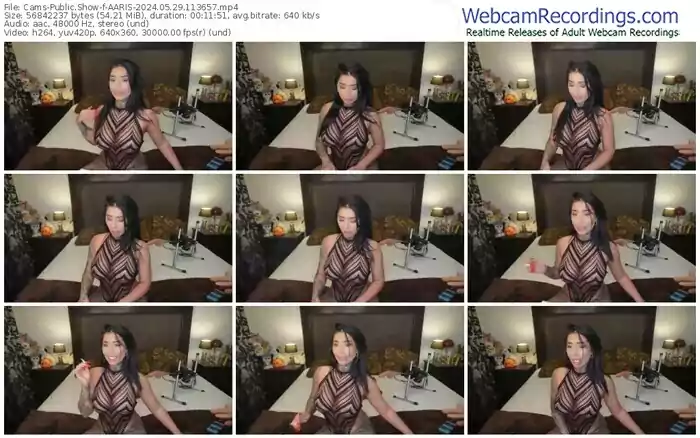 cams-aaris-05-29-2024-11-36-57