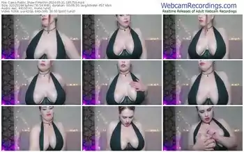 cams-merllin-05-31-2024-18-57-59