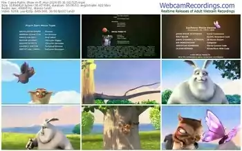 cams-ff_mur-05-31-2024-01-15-25