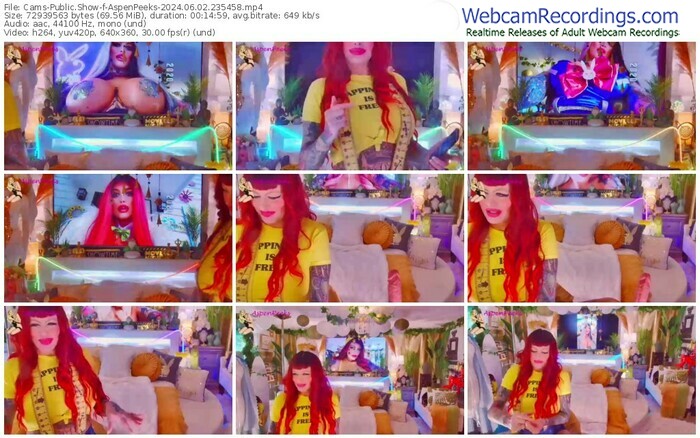 cams-aspenpeeks-06-02-2024-23-54-58