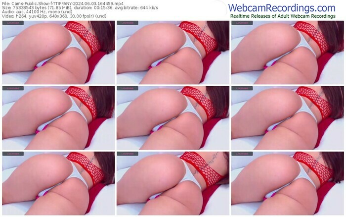 cams-ttiffany-06-03-2024-16-44-59