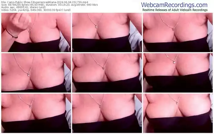 cams-experiencedalana-06-04-2024-15-17-39