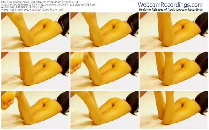 cams-carina008-06-06-2024-23-30-07