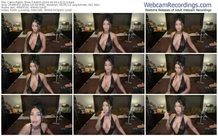 cams-aaris-06-09-2024-13-12-13