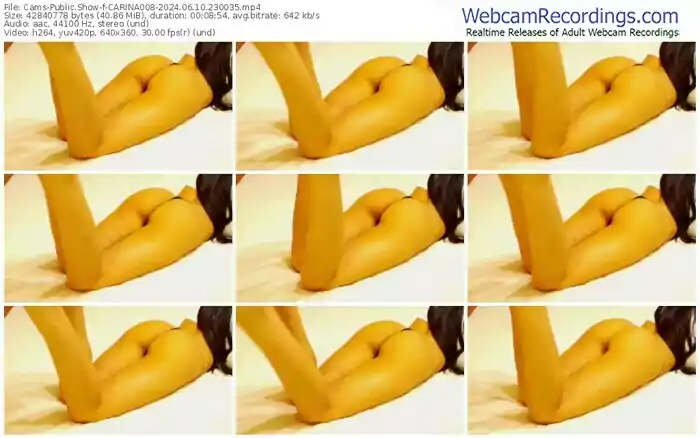 cams-carina008-06-10-2024-23-00-35