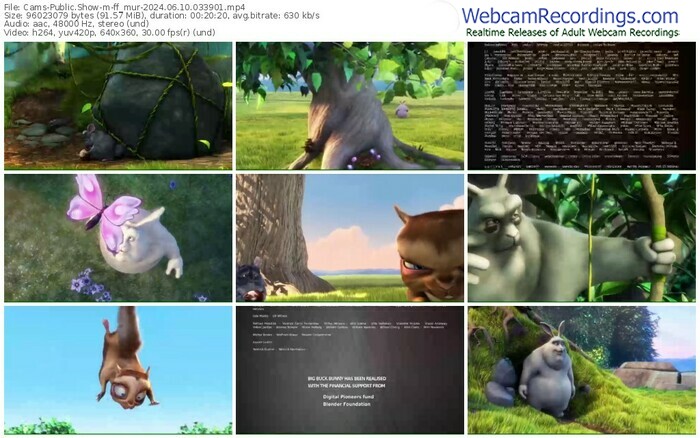 cams-ff_mur-06-10-2024-03-39-01