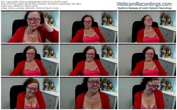 cams-adeleemodel-06-11-2024-05-35-14