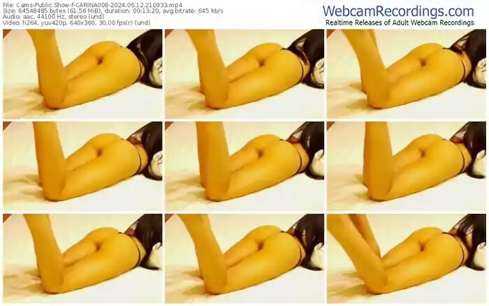 cams-carina008-06-12-2024-21-09-33