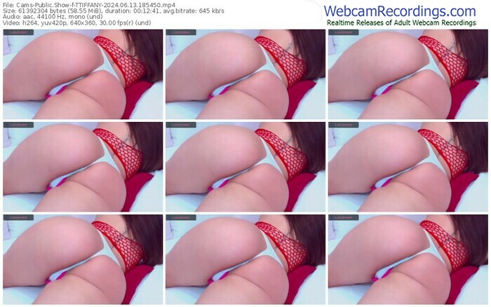 cams-ttiffany-06-13-2024-18-54-50