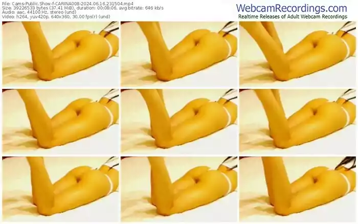 cams-carina008-06-16-2024-23-15-04