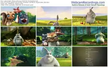 cams-ff_mur-06-16-2024-05-40-32