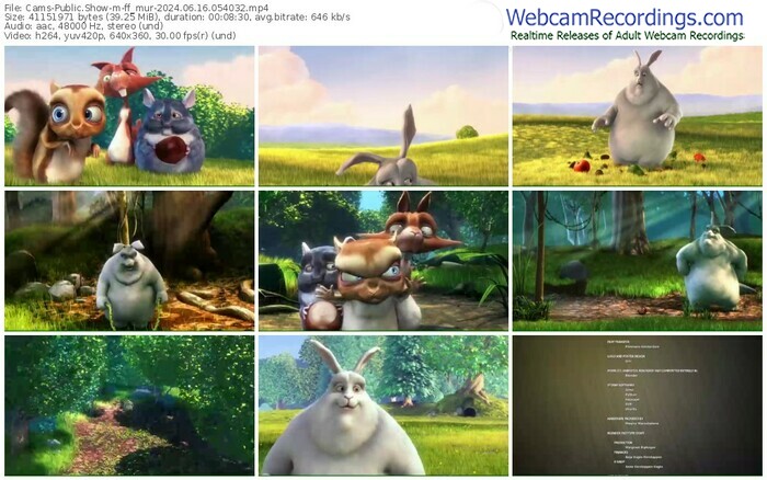 cams-ff_mur-06-16-2024-05-40-32