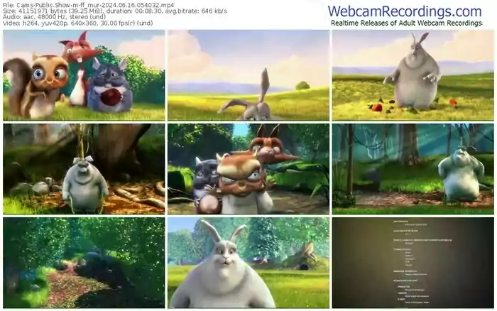 cams-ff_mur-06-16-2024-05-40-32